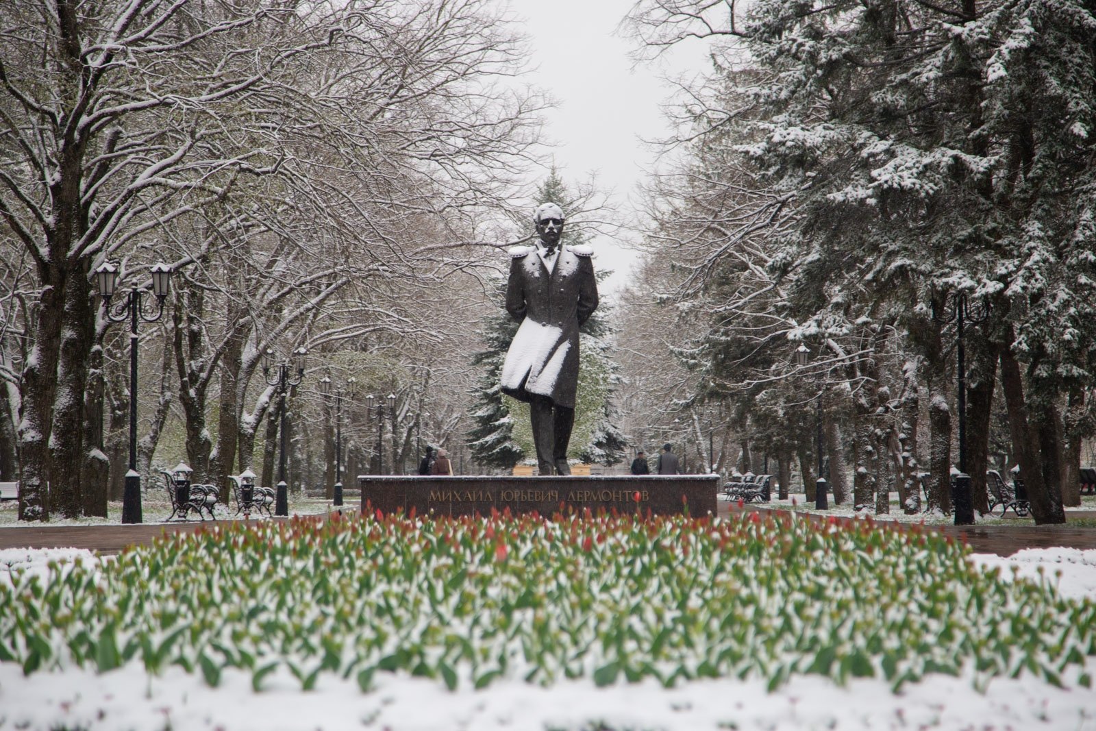 Снегопад Артём Хорошилов  , ИА Stavropol.Media