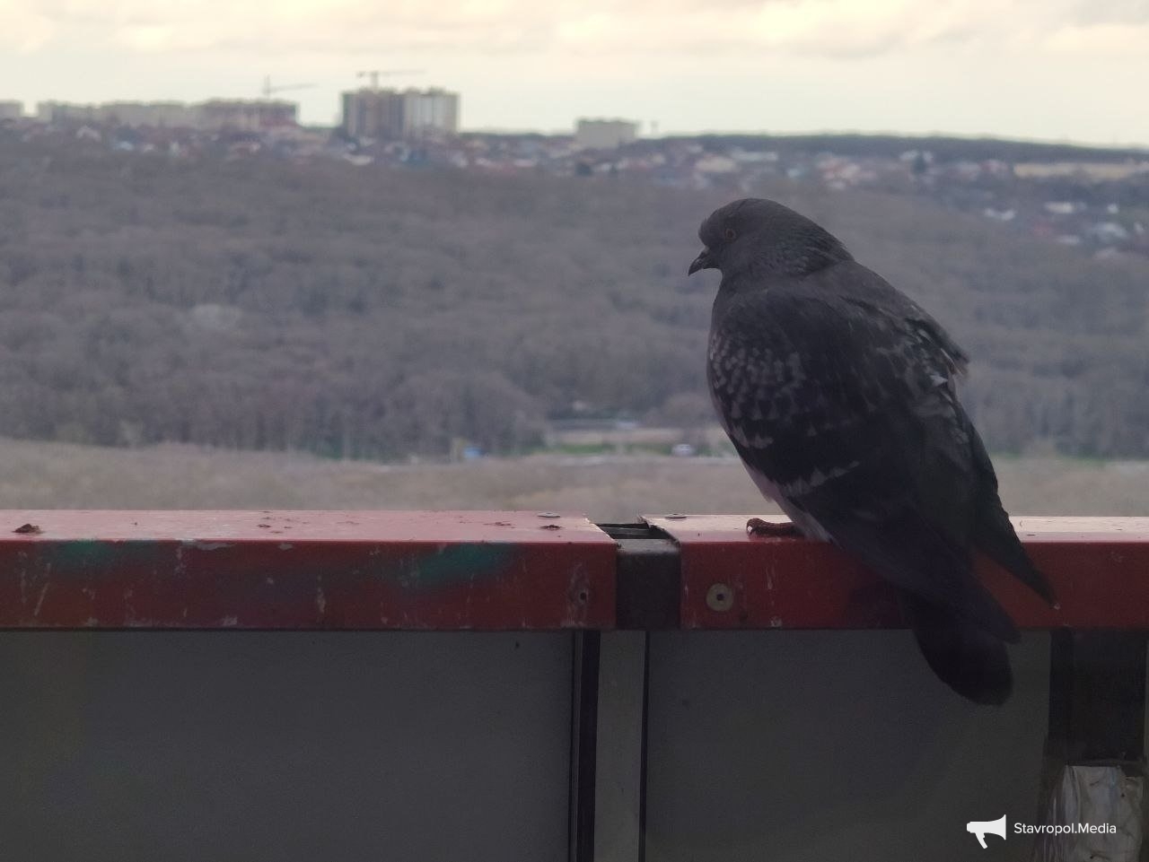 Синоптики прогнозируют погодные качели на выходных на Ставрополье ИА Stavropol.Media