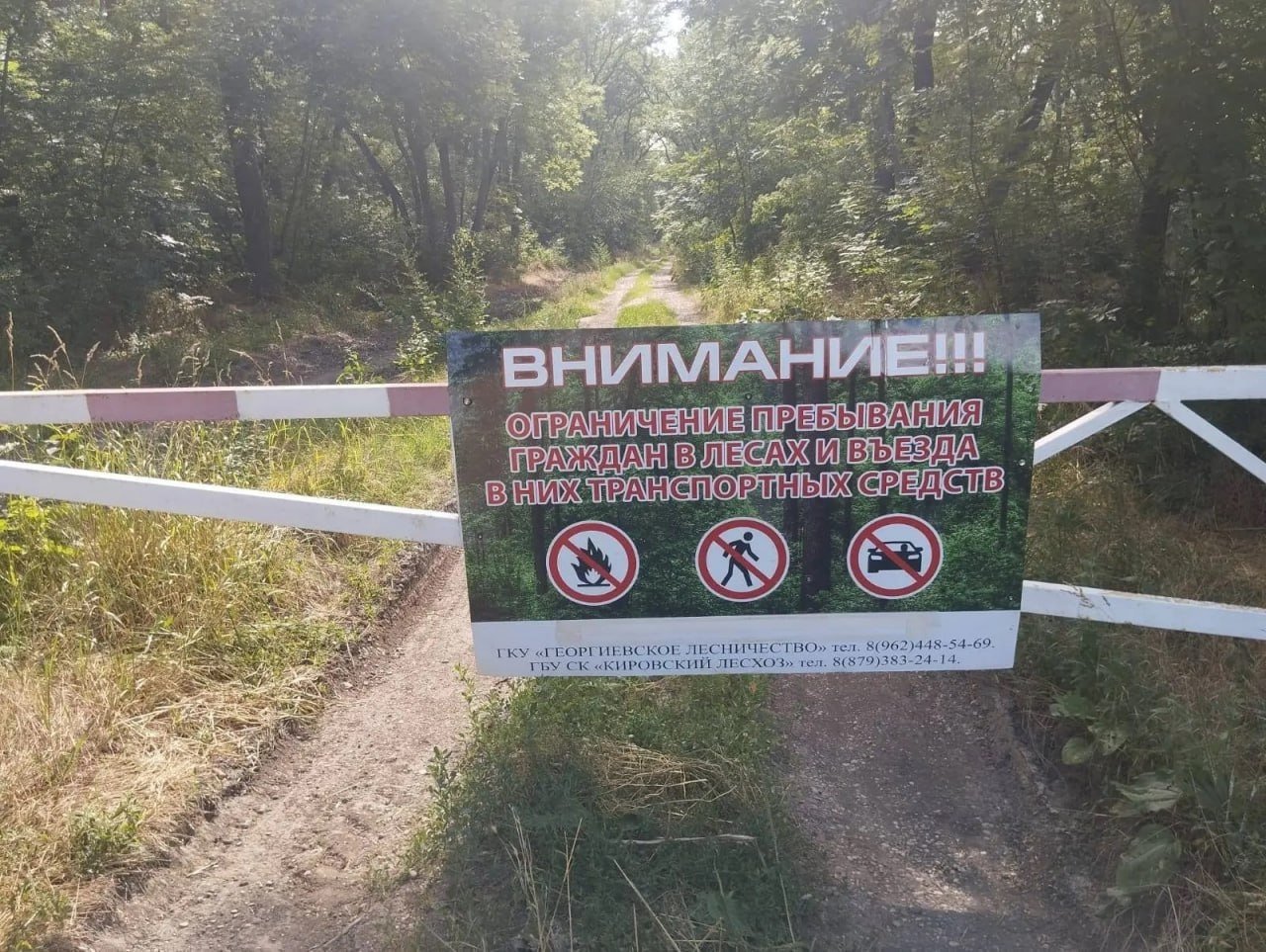 Ограничения в лесах Ставрополья продлили из-за высокой пожароопасности Минприроды Ставрополья