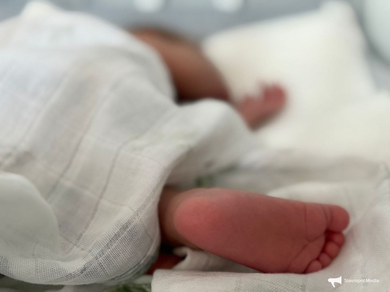 На Ставрополье за полгода родились 94 пары двойняшек и одна тройня ИА Stavropol.Media