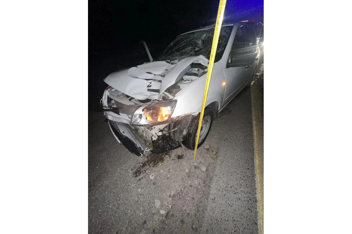 58-летний мужчина погиб под колёсами Lada Granta на трассе Ставрополья Госавтоинспекция Ставрополья