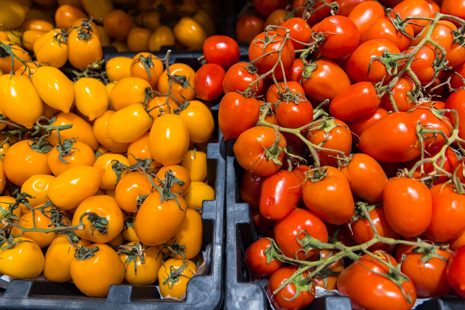 Помидоры подорожали на 9,15%: как изменились цены на продукты на Ставрополье Илья Аверьянов, ИА PrimaMedia