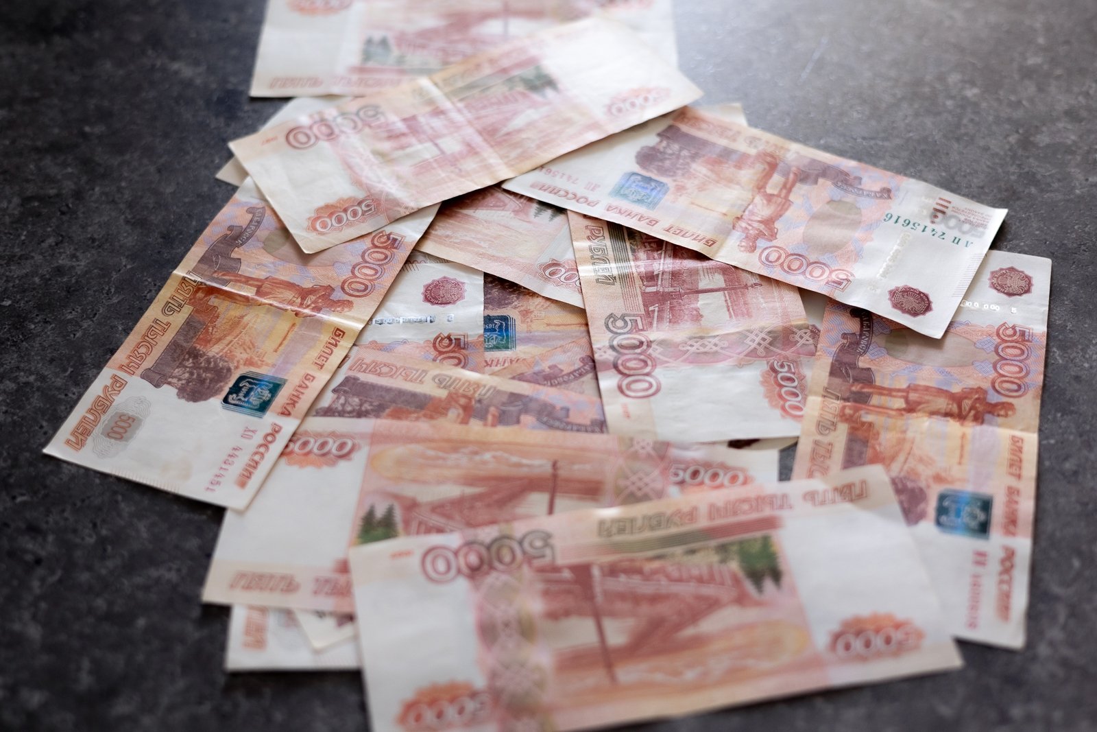 Ставрополец похитил более 2,4 млн рублей у матери погибшего участника СВО Илья Аверьянов, ИА PrimaMedia.ru